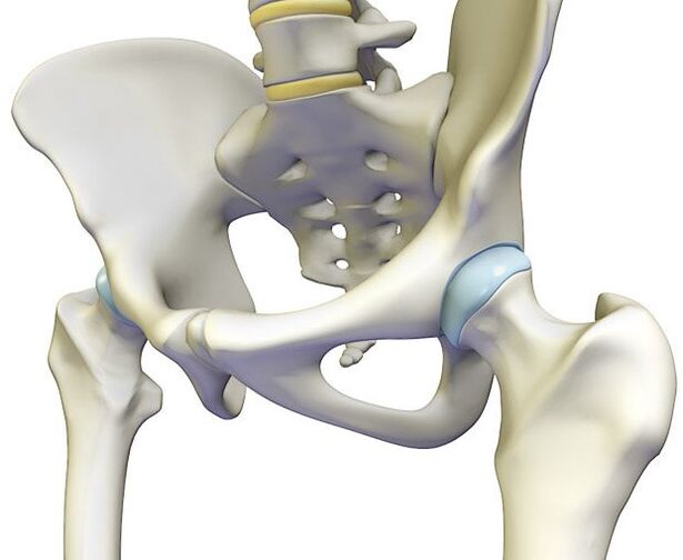 Osteohondroze izraisa asas sāpes gūžas locītavā